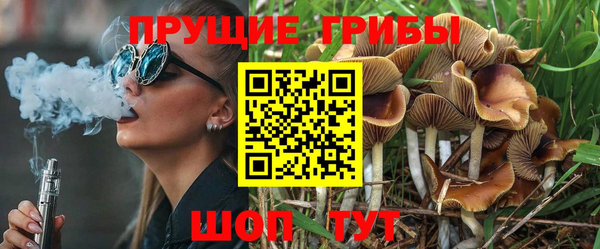 Галлюциногенные грибы GOLDEN TEACHER  Псилоцибиновые грибы Magic Shrooms  Электрогорск  Вход с VPN 